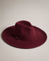 ABBIEA-Hats-Step out in style with ABBIEA. With a wide brim to shield you from the sun, this felt hat adds a fashionable finishing touch to your look. Felt hat Pure wool Leather trim with buckle T accented keeper loop Wide brim- Ted Baker Romania